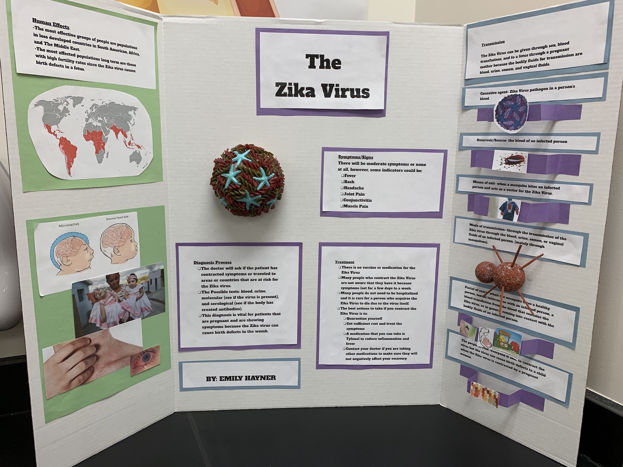 Student Work on Zika Virus